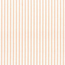 Ticking Stripe 1 Apricot Apex Curtains