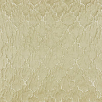 Maximus Champagne Roman Blinds