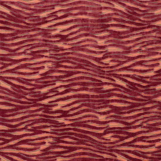 Wildstripe Coral F1762-02 Samples