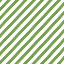 Paper Straw Stripe Peridot 133993 Curtain Tie Backs